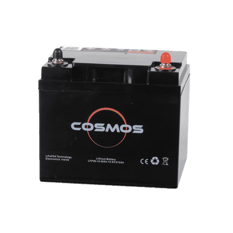 cosmos 40